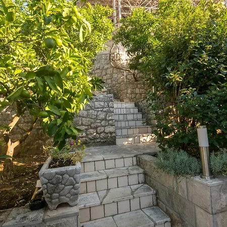 Darden Apartman