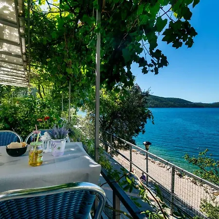 Darden Neum